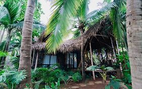 Mizata By Antiresort